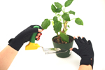 Thermoskin Gloves