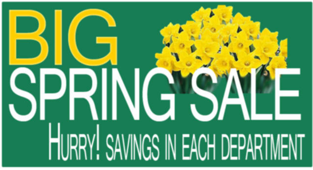 BIG SPRING Sale LifeSolutionsPlus.com