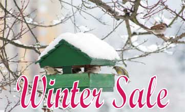 WinterSale1