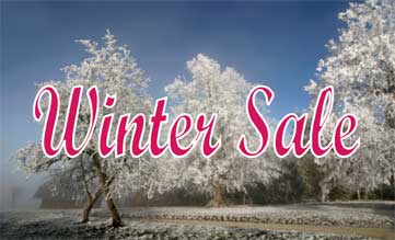 WinterSale2