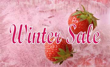 WinterSale5
