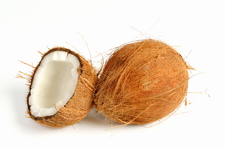 coconut on white background.