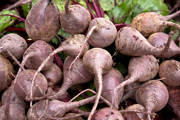 Beets Superfood