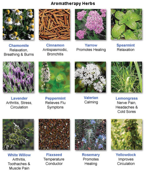 AromatherapyHerbs